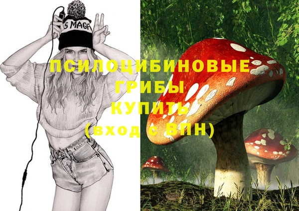 альфа пвп Алзамай